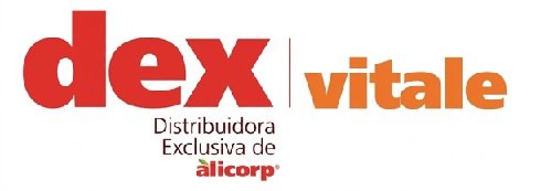 Cliente 13