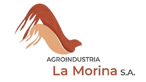 Cliente 4
